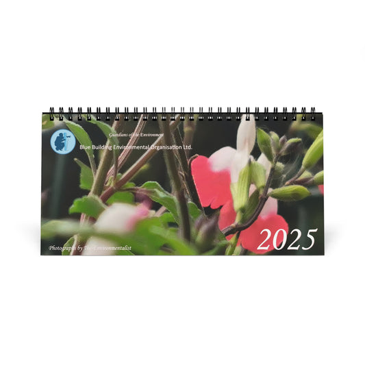 Blue Building Desk Calendar 2025