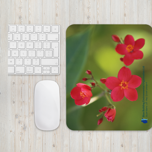 Mouse pad "Peregrina"