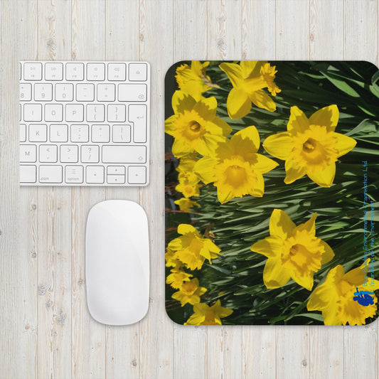 Mouse pad Daffodils